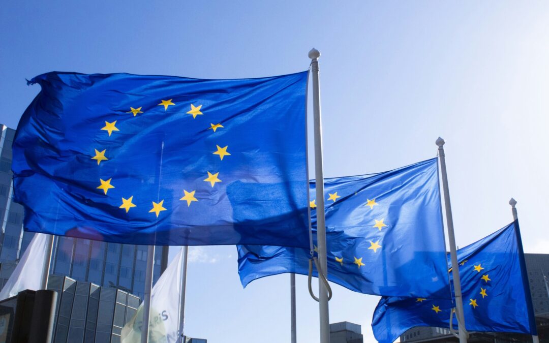 Veicoli commerciali: appello a Bruxelles di industria e lavoratori