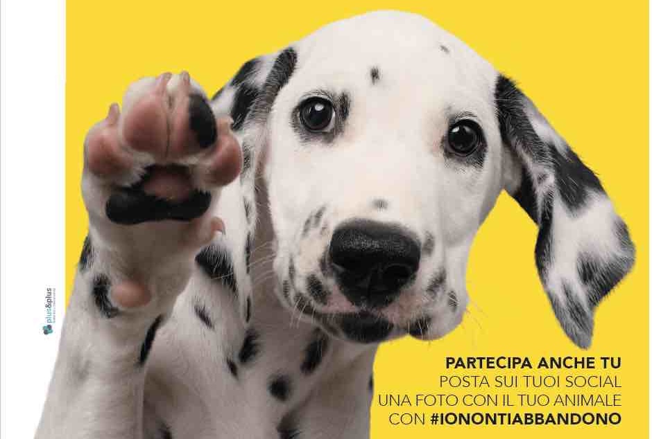 Un animale non si abbandona: si sceglie, si ama  si accompagna